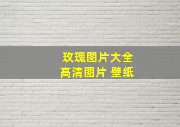 玫瑰图片大全高清图片 壁纸